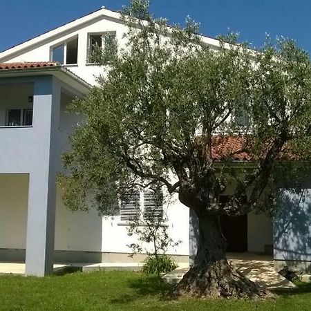 Apartments Villa Ulivo - Apartment Sol Fažana Esterno foto