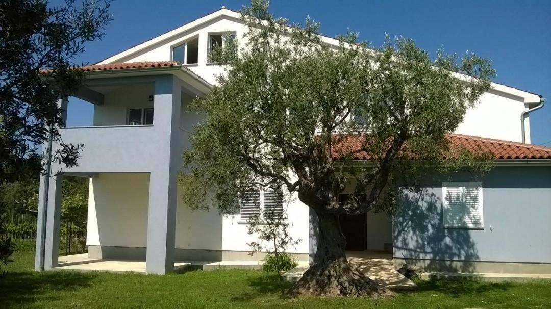 Apartments Villa Ulivo - Apartment Sol Fažana Esterno foto